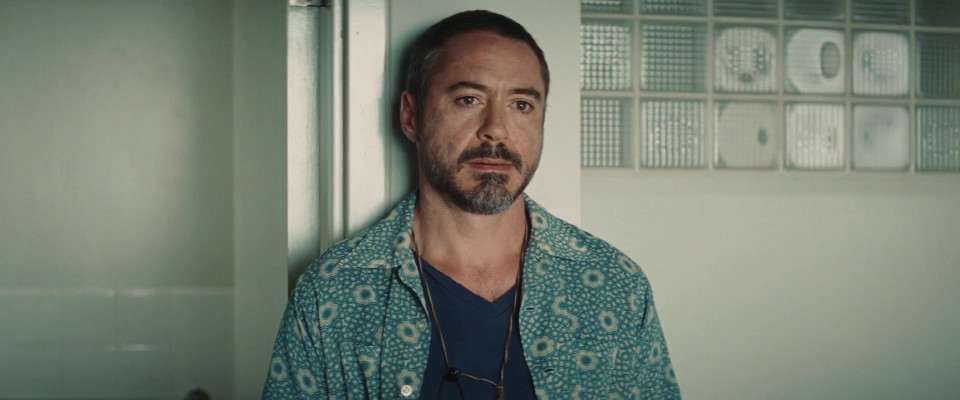Robert Downey Jr - The Soloist (2009)