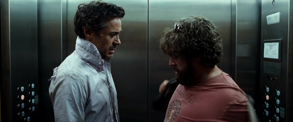 Robert Downey Jr - Due Date (2010)