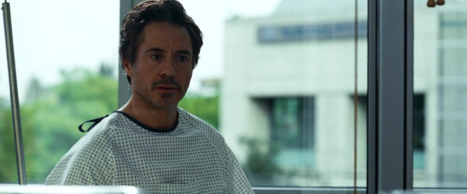 Robert Downey Jr - Due Date (2010)