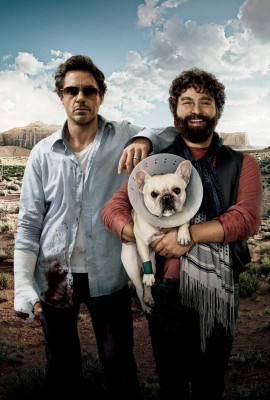 Robert Downey Jr - Due Date (2010)