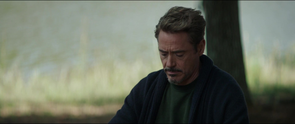 Robert Downey Jr - Avengers: Endgame (2019)