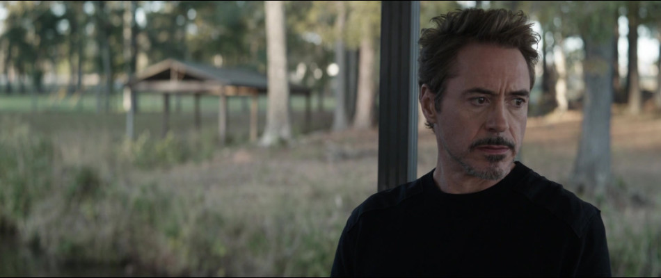 Robert Downey Jr - Avengers: Endgame (2019)