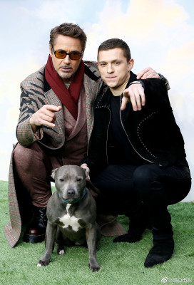 Robert Downey Jr - &#039;Dolittle&#039; London Premiere 01/25/2020