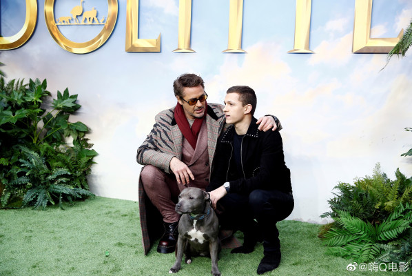 Robert Downey Jr - &#039;Dolittle&#039; London Premiere 01/25/2020