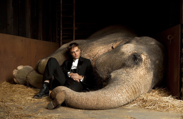 Robert Pattinson pic #339566