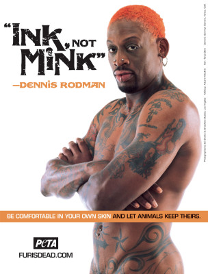Rodman pic #30839