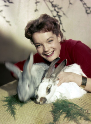 Romy Schneider pic #145502
