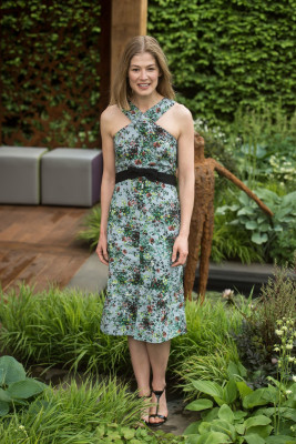 Rosamund Pike pic #889026