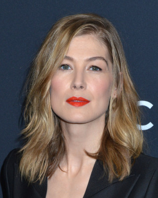 photo 22 in Rosamund Pike gallery [id960293] 2017-04-30 00:00:00