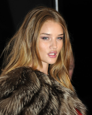 photo 7 in Rosie Huntington-Whitely gallery [id450275] 2012-01-10 00:00:00