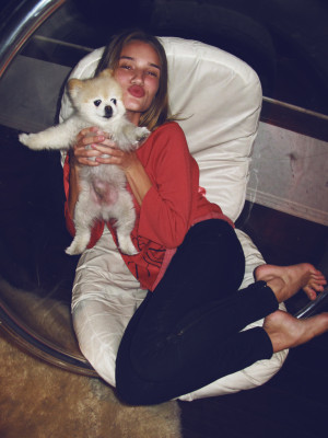 Rosie Huntington-Whitely pic #267367