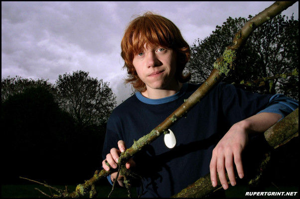 Rupert Grint pic #141761