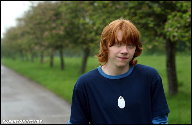 Rupert Grint pic #141763