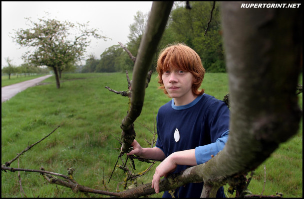 Rupert Grint pic #141762