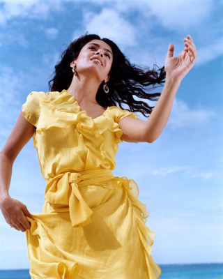 photo 11 in Salma Hayek gallery [id99098] 2008-06-23 00:00:00