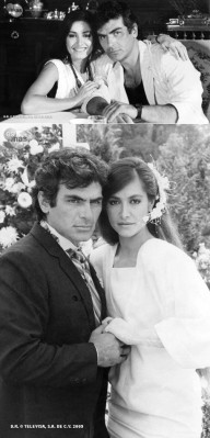 photo 7 in Salvador gallery [id1240053] 2019-12-30 00:00:00