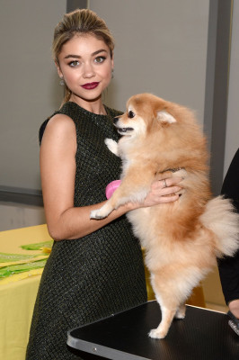 Sarah Hyland pic #768238