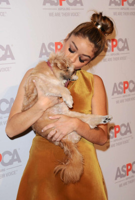 Sarah Hyland pic #918472