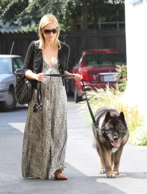 Sarah Michelle Gellar pic #331610