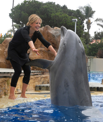 Sarah Michelle Gellar pic #111382