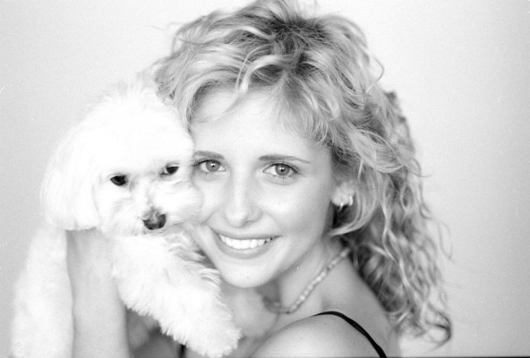 Sarah Michelle Gellar pic #84093