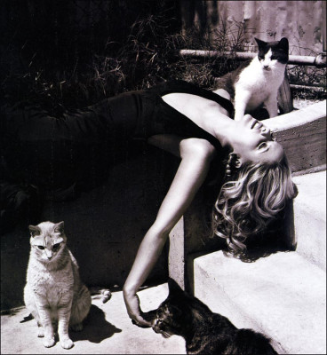Sarah Michelle Gellar pic #24535