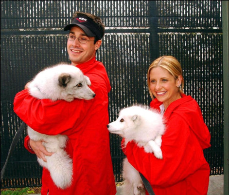 Sarah Michelle Gellar pic #582326