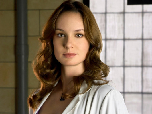 Sarah Wayne Callies pic #320322