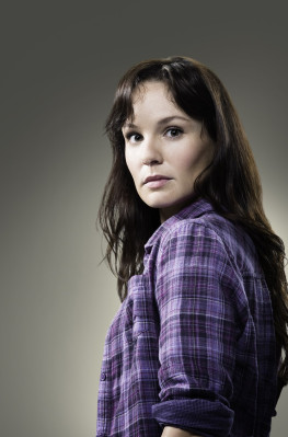Sarah Wayne Callies pic #383312