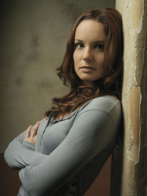 Sarah Wayne Callies pic #383313