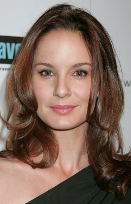 Sarah Wayne Callies pic #341983