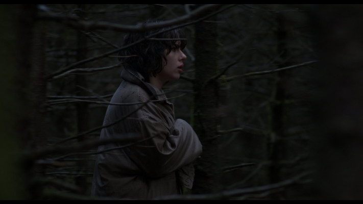 Scarlett Johansson - Under The Skin (2013)