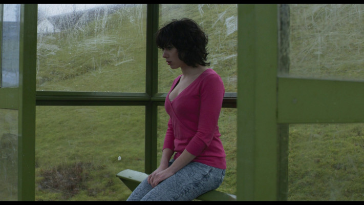 Scarlett Johansson - Under The Skin (2013)