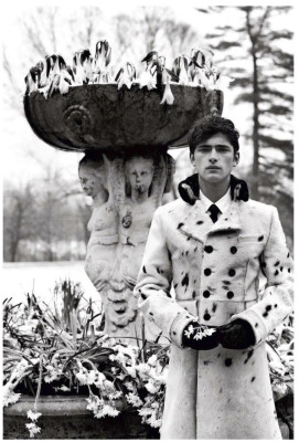 Sean OPry pic #498566