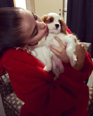 photo 26 in Selena Gomez gallery [id1049660] 2018-03-06 00:00:00