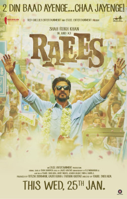photo 8 in Shahrukh gallery [id943246] 2017-02-25 00:00:00