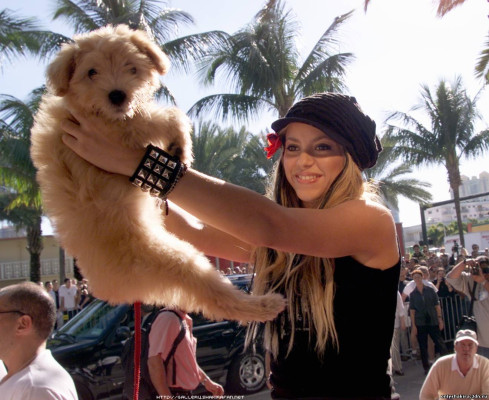 photo 8 in Shakira Mebarak gallery [id614280] 2013-03-17 00:00:00