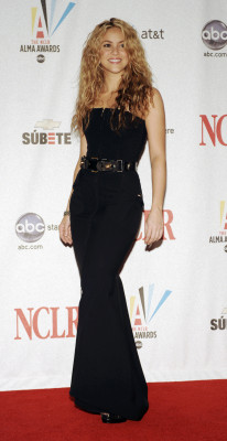 photo 6 in Shakira gallery [id118149] 2008-11-24 00:00:00