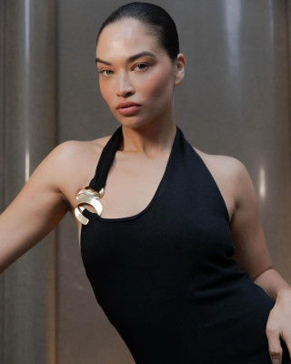 Shanina Shaik