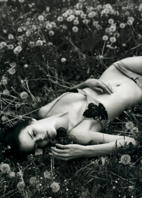 Shannan Click pic #180546