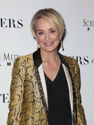 photo 13 in Sharon Stone gallery [id883832] 2016-05-03 00:00:00