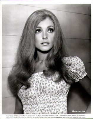 photo 21 in Sharon Tate gallery [id365870] 2011-02-28 00:00:00