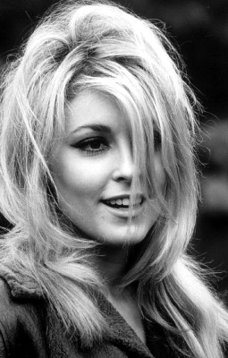 Sharon Tate pic #242226