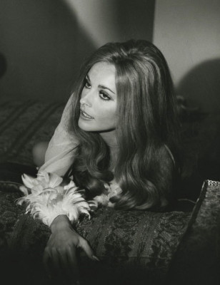 Sharon Tate pic #376287