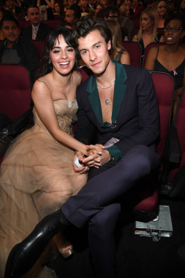 Shawn Mendes - American Music Awards in Los Angeles 11/24/2019