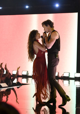 Shawn Mendes - American Music Awards in Los Angeles 11/24/2019
