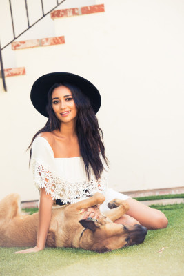 Shay Mitchell pic #826192
