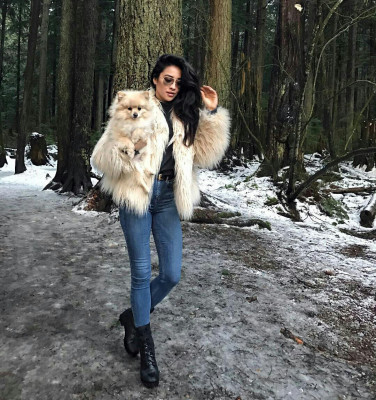 Shay Mitchell pic #931914