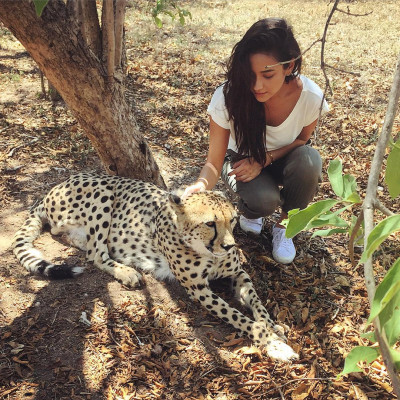 Shay Mitchell pic #847432
