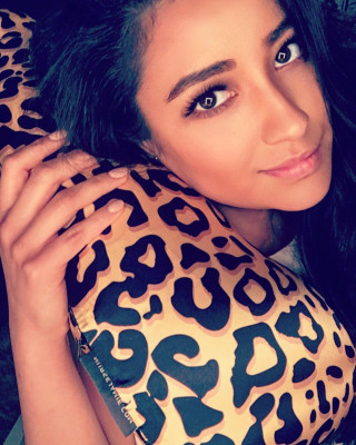 Shay Mitchell pic #891969